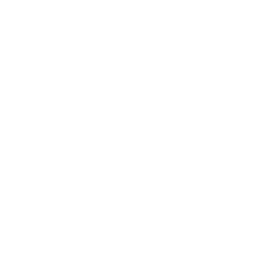 Anarchist Logo